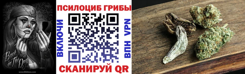 Псилоцибиновые грибы Cubensis  блэк спрут вход  Ардон 